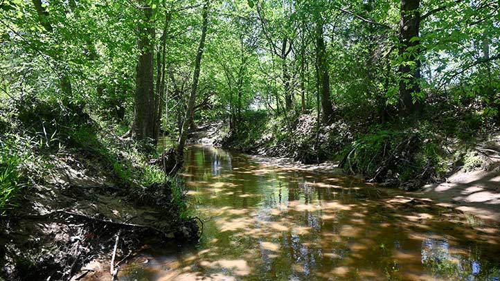 107 Acres Bennington, OK