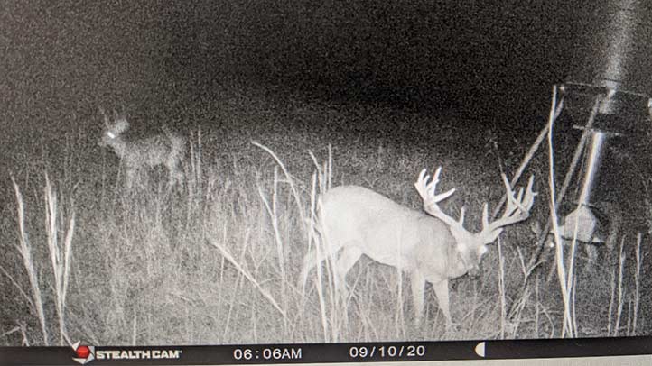 3118 Acres Bennington, OK