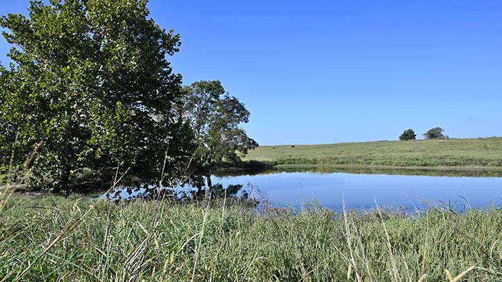 80 Acres Holdenville, OK